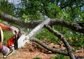 Best Lawn Mowing  in Scissors, TX