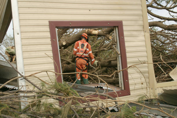 Best Tree Disease Treatment  in Scissors, TX